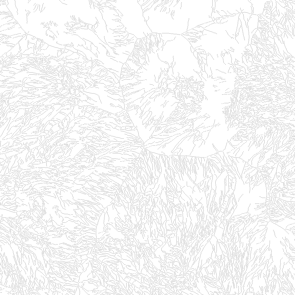 Triangulation